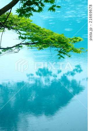 新潟県 雨飾山山麓・白池 新潟県 雨飾山山麓・白池 21669678