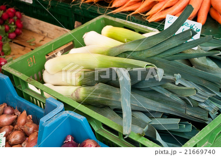 fresh vegetables ar the market in outdoor fresh vegetables ar the market in outdoor 21669740