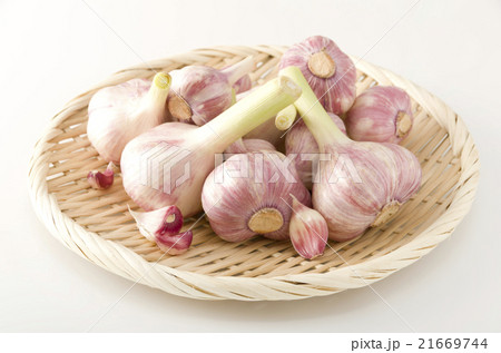 島にんにく 島にんにく 21669744