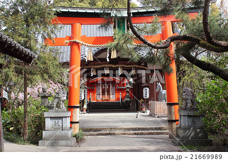 京都府宇治市 競馬の神様 許波多神社 京都府宇治市 競馬の神様 許波多神社 21669989