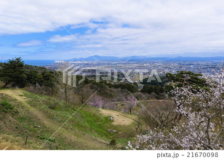 春日山から日本海 21670098