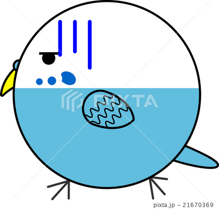 丸鳥（セキセイインコ） 21670369