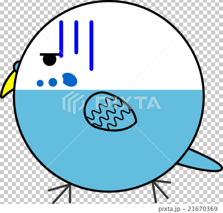 丸鳥（セキセイインコ） 21670369