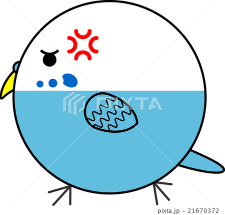 丸鳥(セキセイインコ) 丸鳥(セキセイインコ) 21670372
