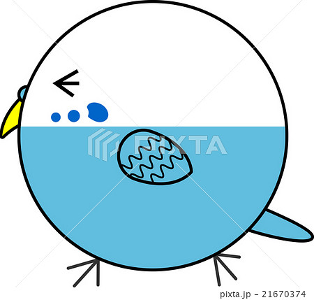 丸鳥（セキセイインコ） 21670374