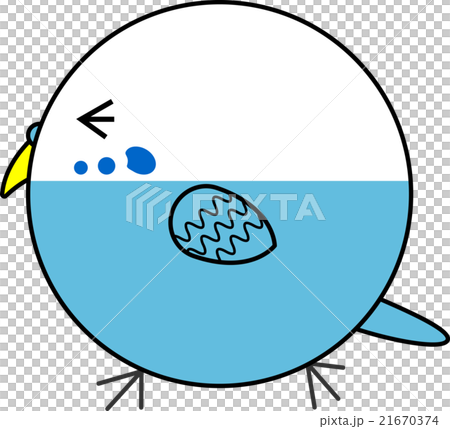 丸鳥（セキセイインコ） 21670374