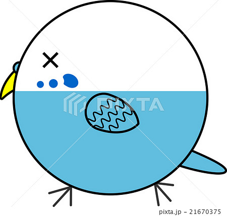 丸鳥（セキセイインコ） 21670375