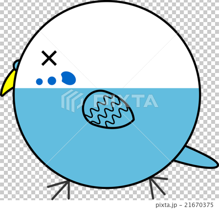 丸鳥（セキセイインコ） 21670375