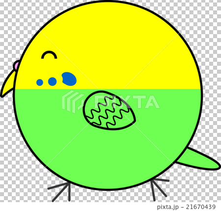 丸鳥（セキセイインコ） 21670439