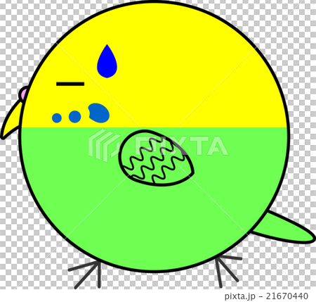Maruko (Sekisei parakeet) Maruko (Sekisei parakeet) 21670440