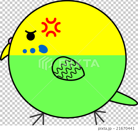 Maruko (Sekisei parakeet) Maruko (Sekisei parakeet) 21670441