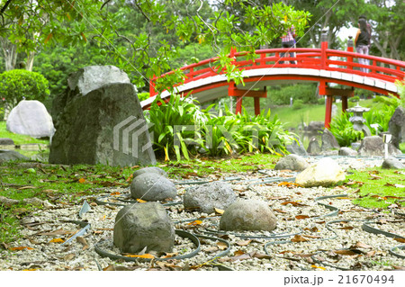 シンガポールの日本庭園 シンガポールの日本庭園 21670494