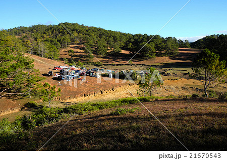 family vacation, camp, pine forest, dalat, vietnam family vacation, camp, pine forest, dalat, vietnam 21670543