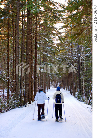 Bretton Woods, New Hampshire.. 21670647