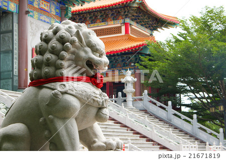 lion stone statue front chinese temple lion stone statue front chinese temple 21671819
