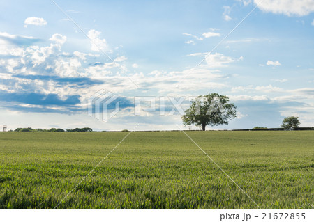 British countryside 21672855