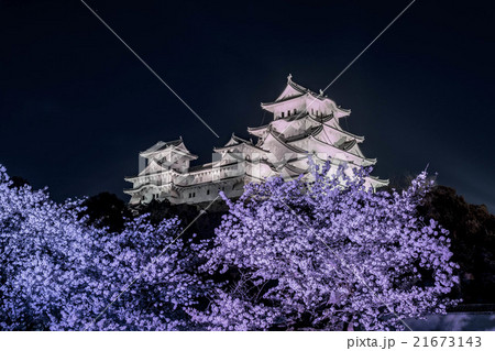 姫路城夜桜会2016 21673143