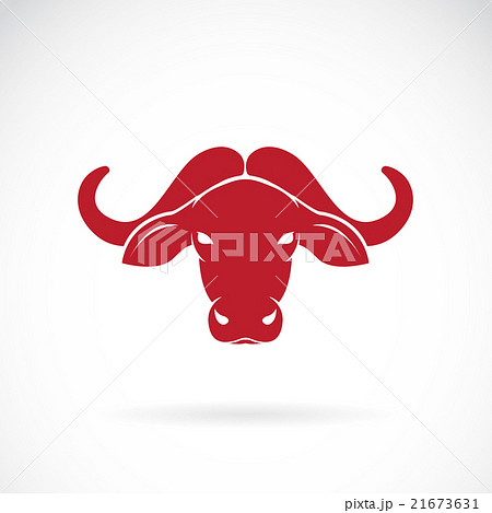 Vector Image Of Buffalo Head On White Backgroundのイラスト素材