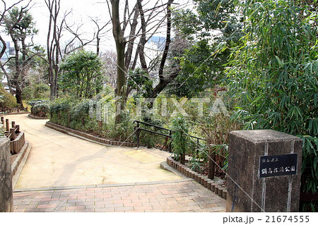鍋島松濤公園（東京渋谷） 21674555