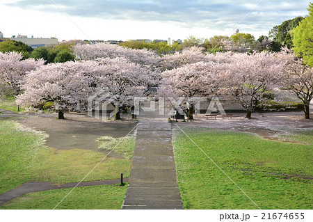 四季の森公園 21674655