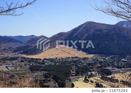 3月箱根09仙石原すすき草原・長尾峠展望 3月箱根09仙石原すすき草原・長尾峠展望 21675263