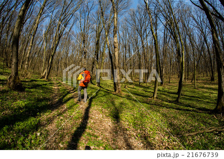 Active healthy man hiking in beautiful forest 21676739