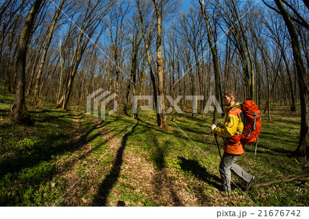 Active healthy man hiking in beautiful forest 21676742