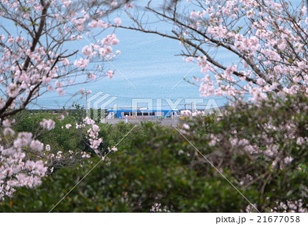 土佐くろしお鉄道奈半利線 21677058