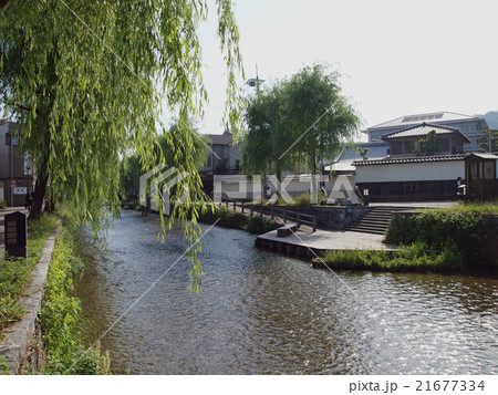 京都白川 京都白川 21677334