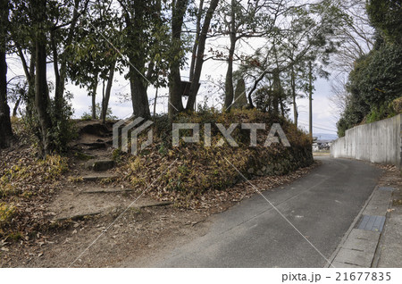 蛙ヶ鼻築堤跡 21677835