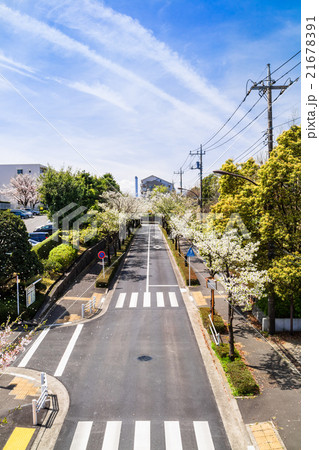 住宅街の道路の写真素材