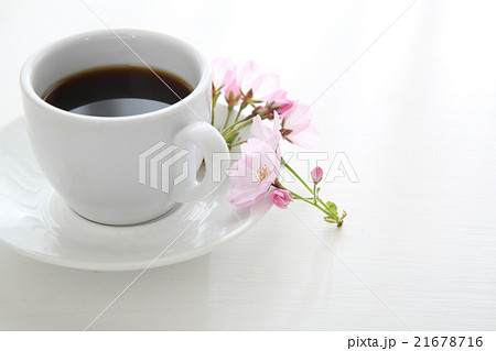 桜とコーヒー 桜とコーヒー 21678716
