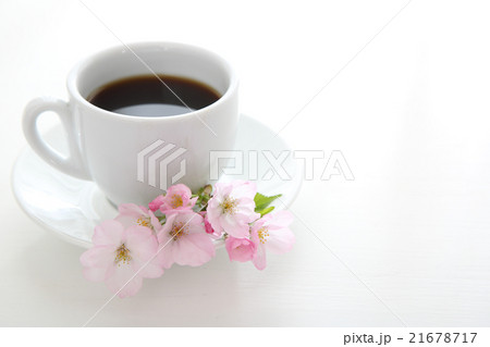 桜とコーヒー 桜とコーヒー 21678717