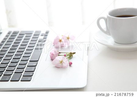 桜とノートパソコンとコーヒー 21678759