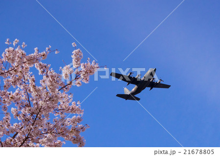 サクラと飛行機 21678805