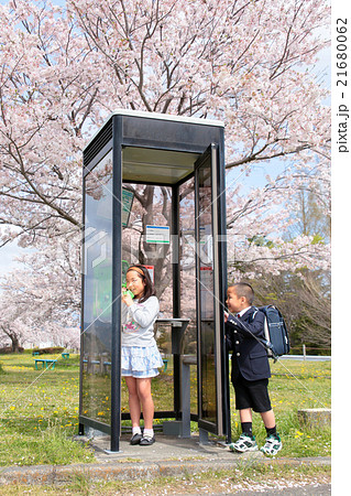 電話 子供 さくら 楽しい遊び 電話ごっこ もしもしの写真素材