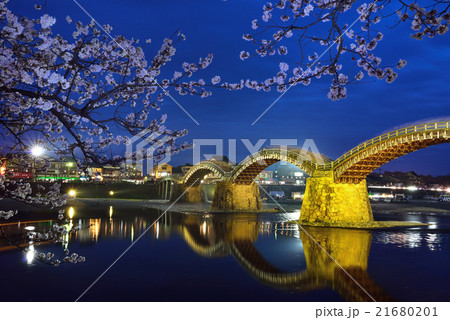 錦帯橋と桜のライトアップの写真素材