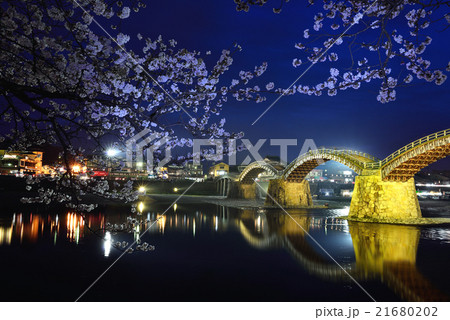 錦帯橋と桜のライトアップの写真素材