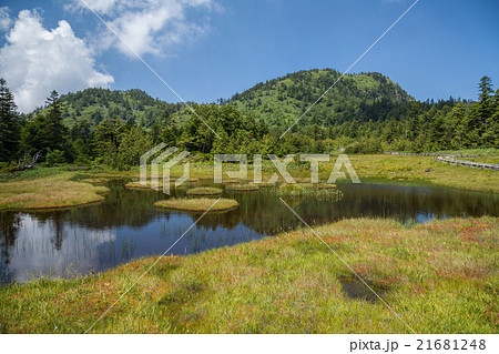 志賀高原　四十八池湿原 21681248