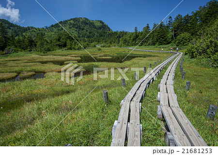 志賀高原 四十八池湿原 志賀高原 四十八池湿原 21681253