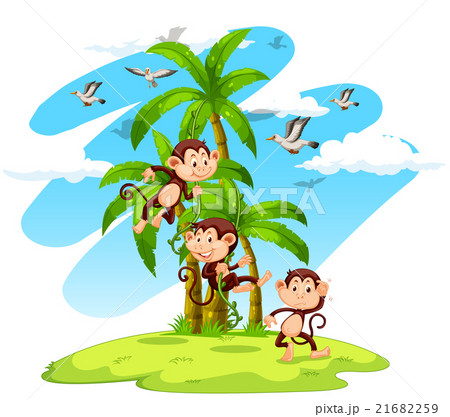 Three monkeys on the island Three monkeys on the island 21682259