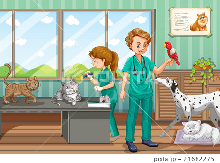 Two vets healing many pet in the clinic Two vets healing many pet in the clinic 21682275
