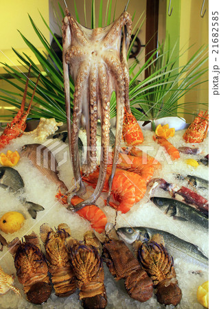 Fresh seafood arrangement displayed in market Fresh seafood arrangement displayed in market 21682585