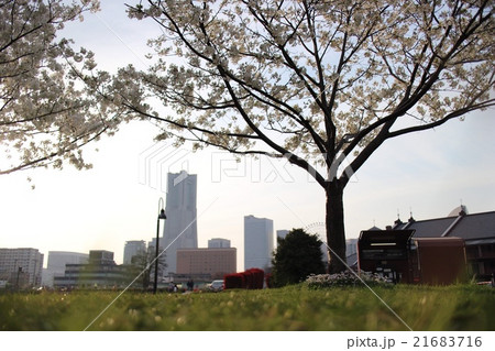 みなとみらい 21683716