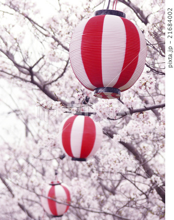 桜と祭り 21684002