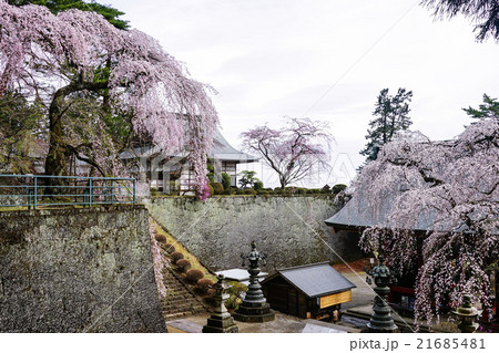 妙義神社 21685481