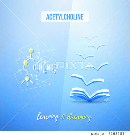 Acetylcholine chemistry low poly educational Acetylcholine chemistry low poly educational 21685854