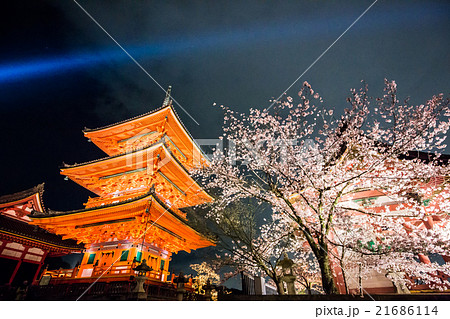 清水寺 春の特別拝観 清水寺 春の特別拝観 21686114