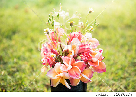 plumeria flower in the vase ,soft focus. 21686275
