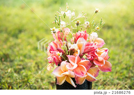 plumeria flower in the vase ,soft focus. plumeria flower in the vase ,soft focus. 21686276